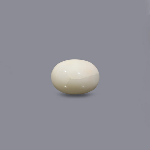 White Coral - 9.8 Carat - Pramogh