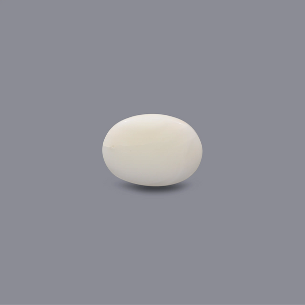 White Coral - 9.8 Carat