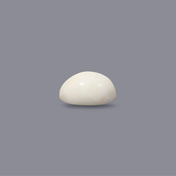 White Coral - 9.8 Carat