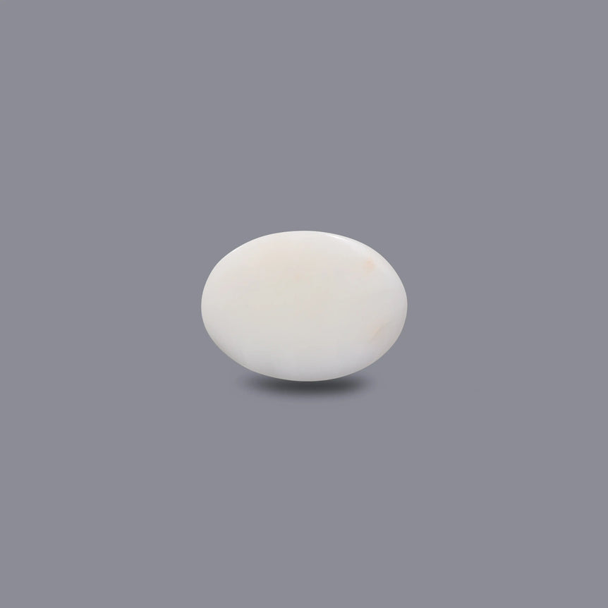 White Coral - 7.95 Carat