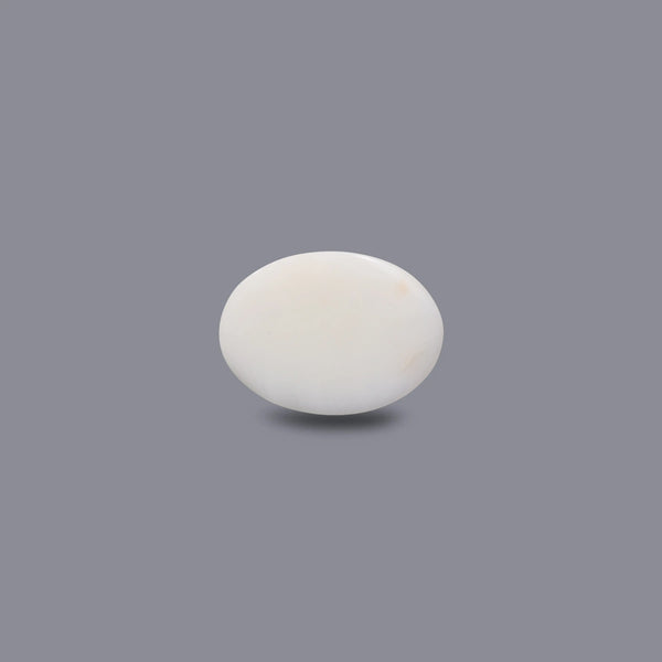 White Coral - 7.95 Carat