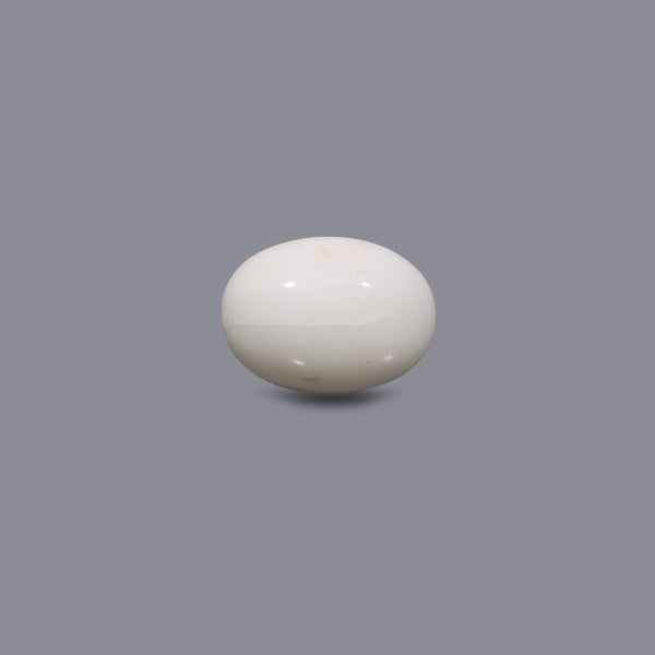 White Coral - 10 Carat - Pramogh