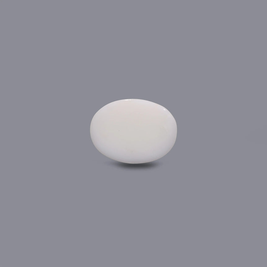 White Coral - 10 Carat