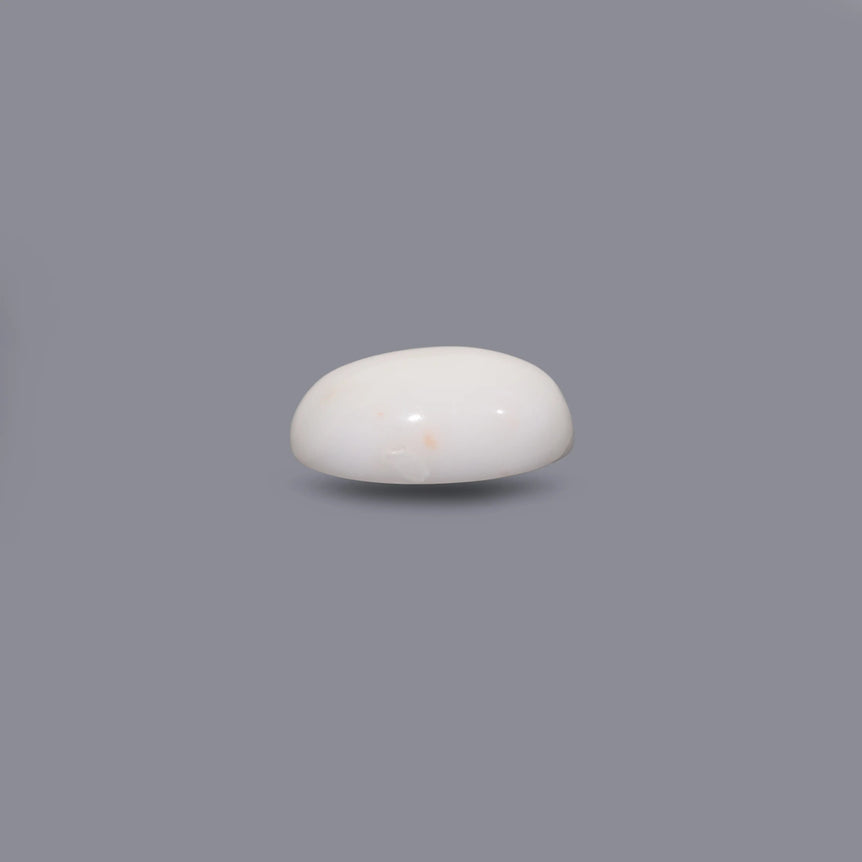 White Coral - 10 Carat