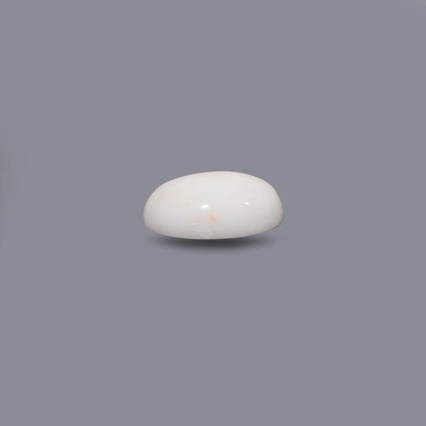 White Coral - 10 Carat