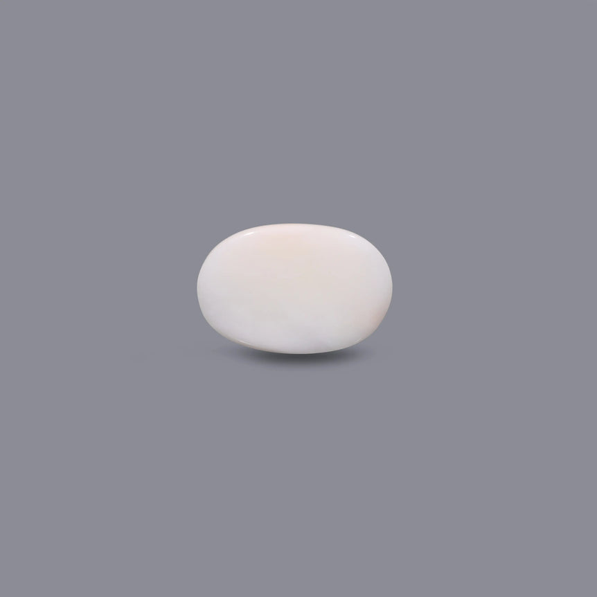 White Coral - 9.9 Carat