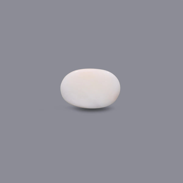 White Coral - 9.9 Carat
