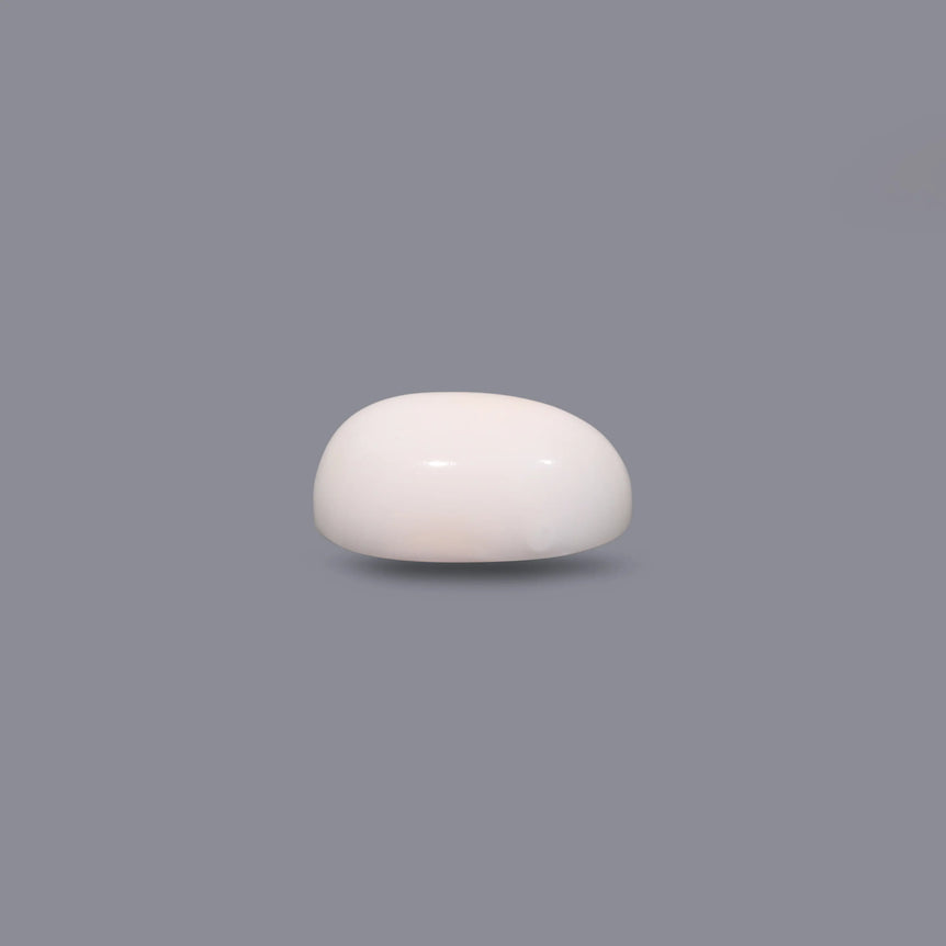 White Coral - 9.9 Carat