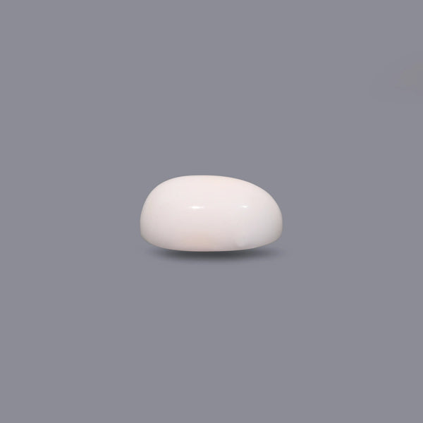 White Coral - 9.9 Carat