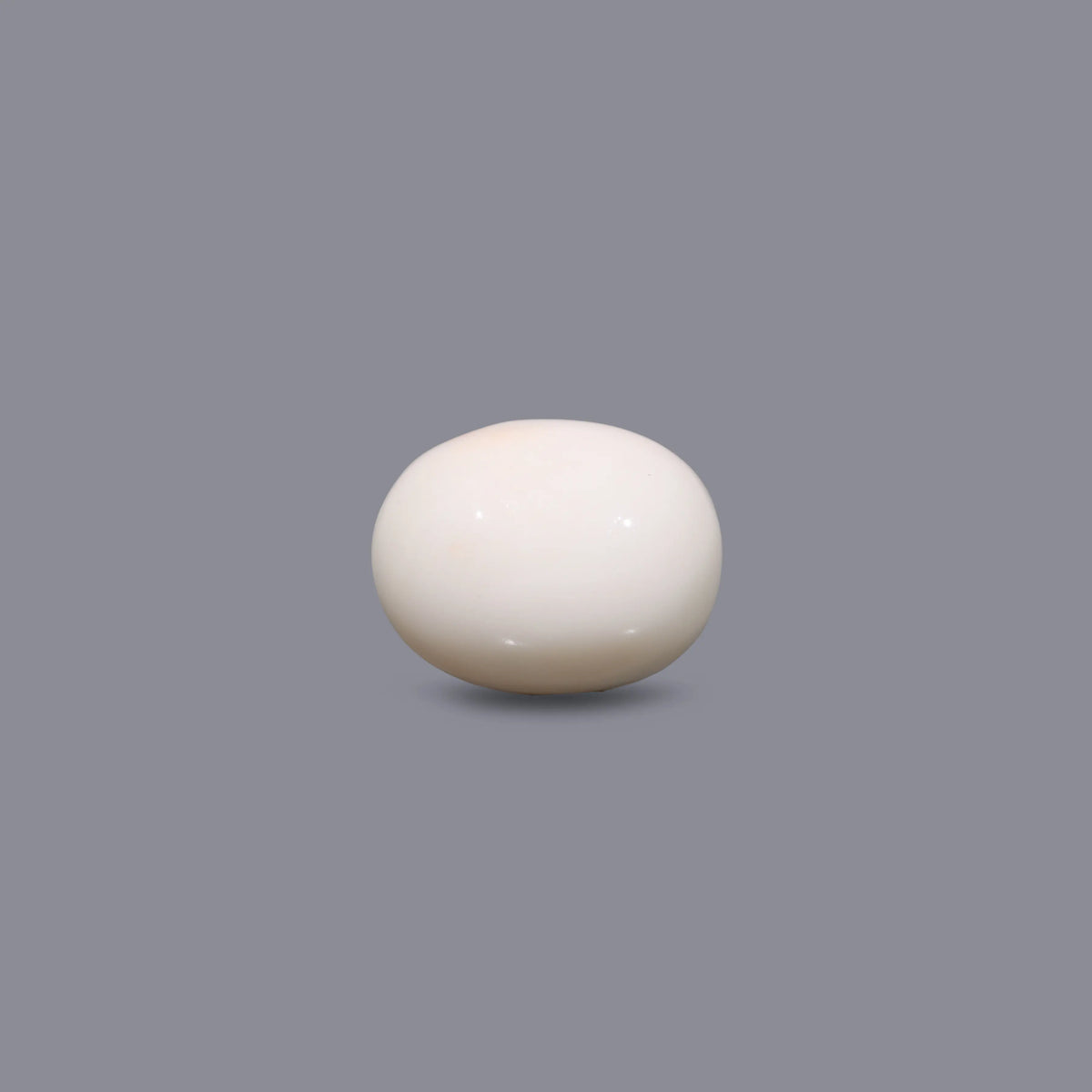 White Coral - 12.4 Carat - Pramogh