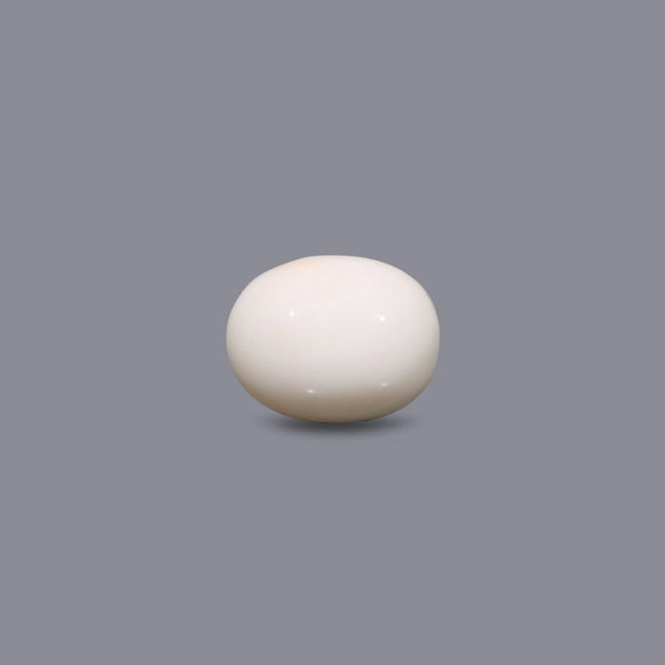 White Coral - 12.4 Carat - Pramogh