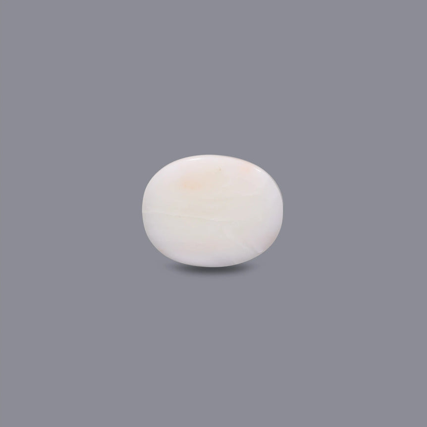 White Coral - 12.4 Carat