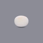 White Coral - 12.4 Carat
