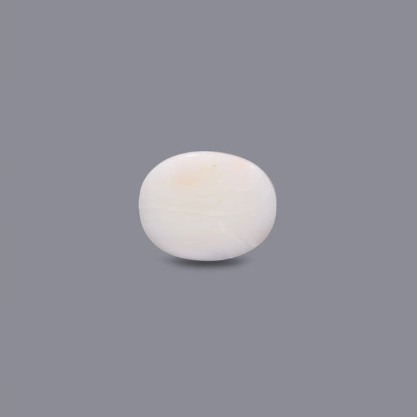 White Coral - 12.4 Carat