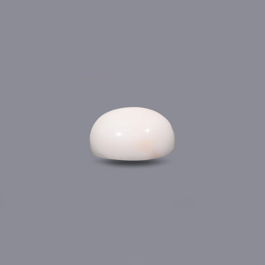 White Coral - 12.4 Carat