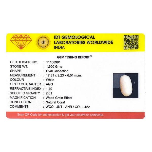 White Coral - 12.4 Carat
