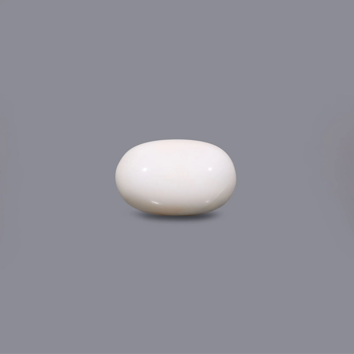 White Coral - 11.1 Carat - Pramogh