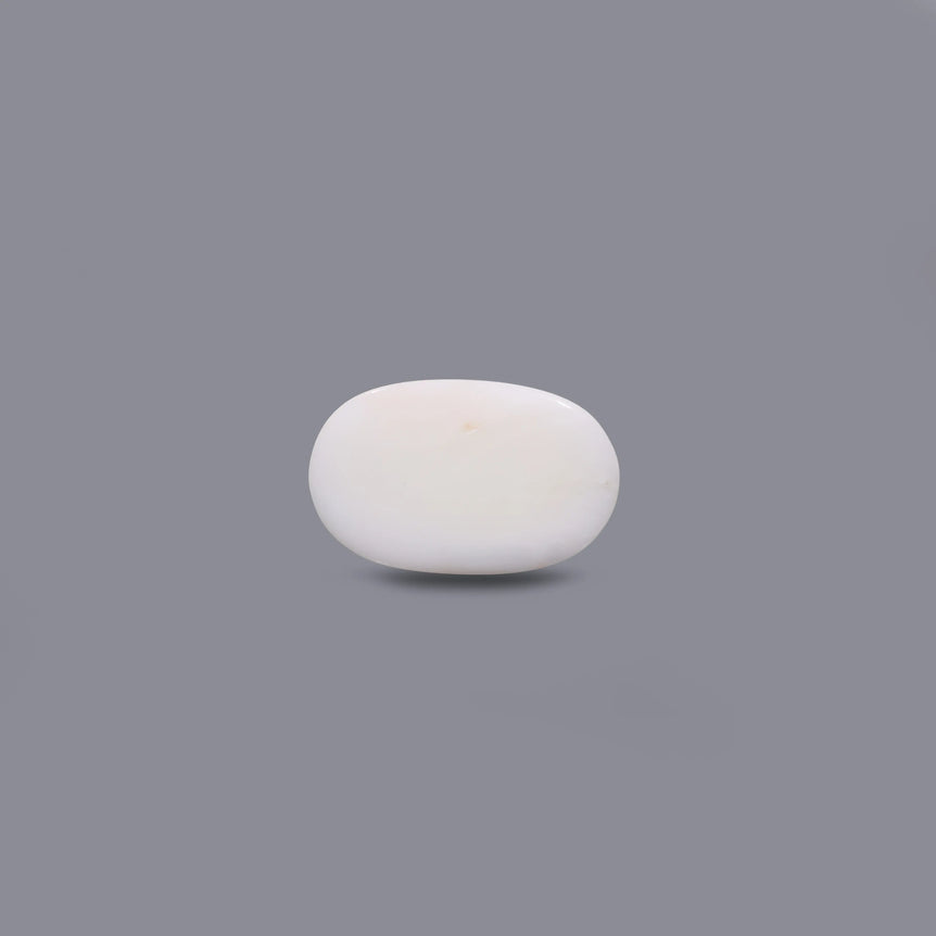 White Coral - 11.1 Carat