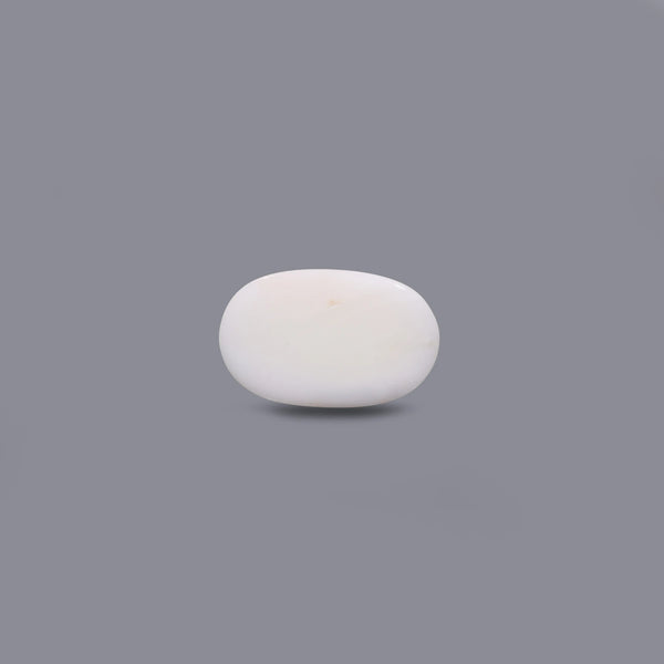 White Coral - 11.1 Carat