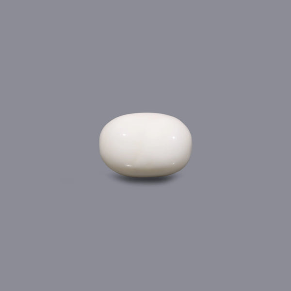White Coral - 9 Carat - Pramogh