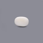 White Coral - 9 Carat