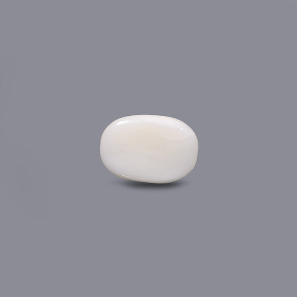 White Coral - 9 Carat