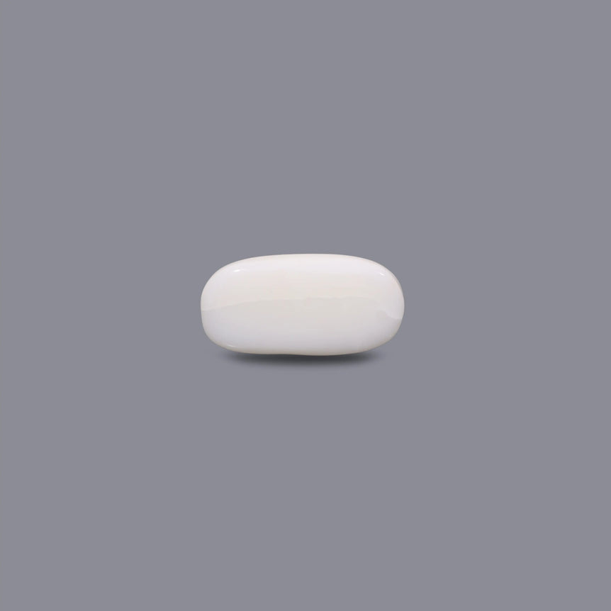 White Coral - 9.5 Carat