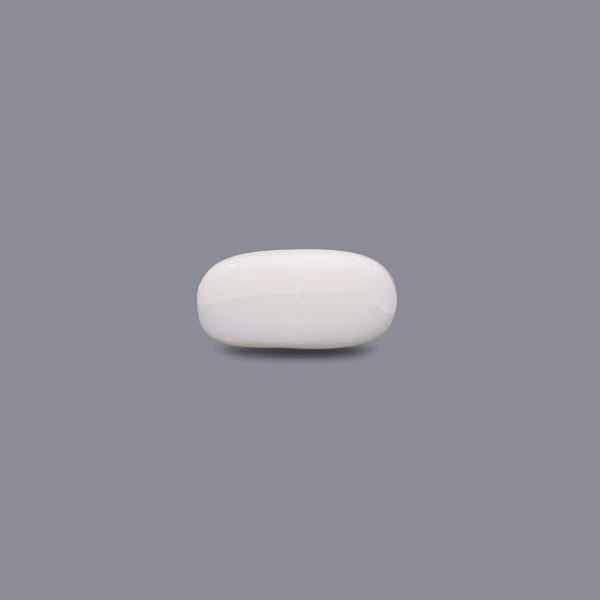 White Coral - 9.5 Carat
