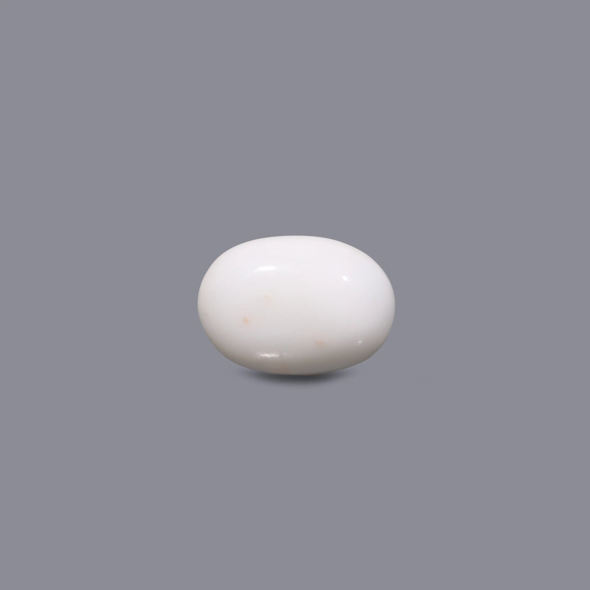 White Coral - 12.4 Carat - Pramogh