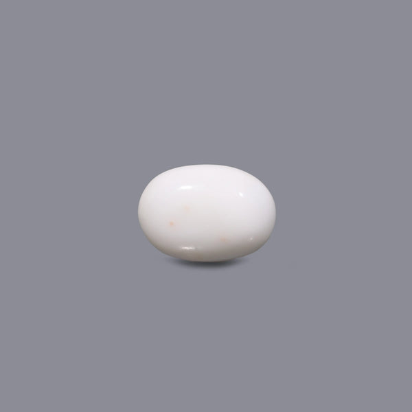 White Coral - 12.4 Carat - Pramogh