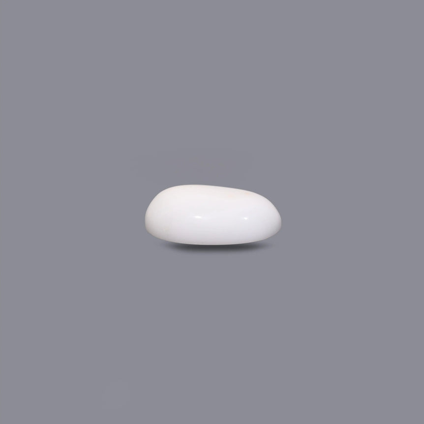 White Coral - 12.4 Carat