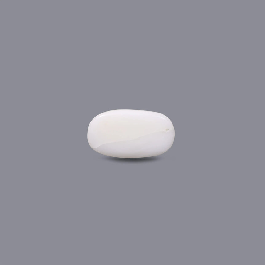 White Coral - 11.75 Carat