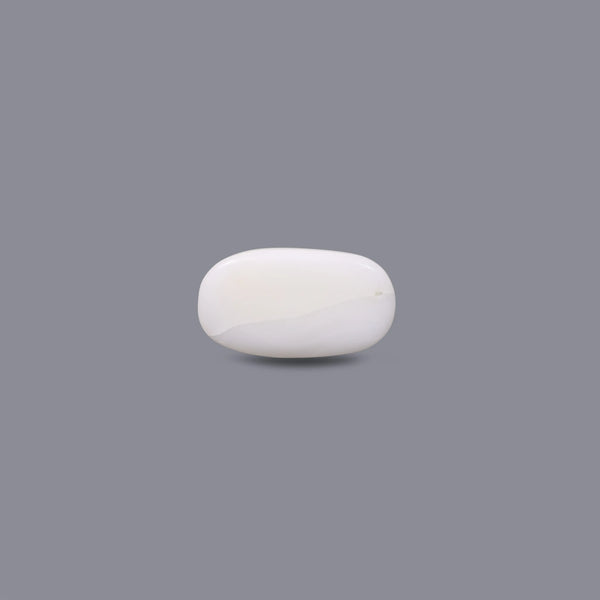 White Coral - 11.75 Carat