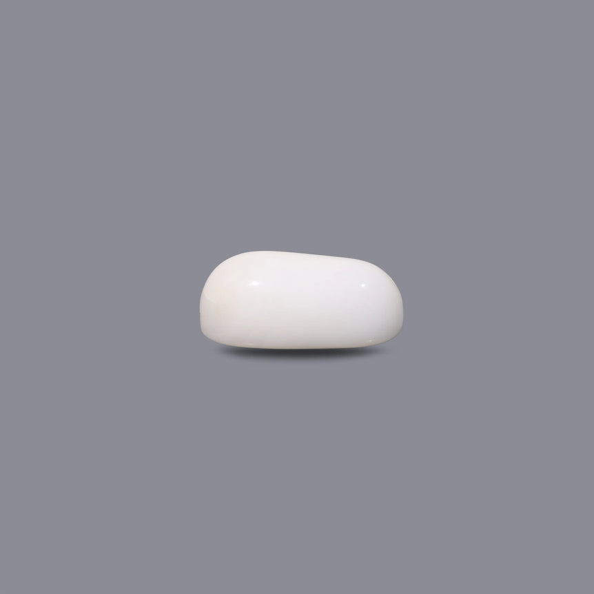 White Coral - 11.75 Carat