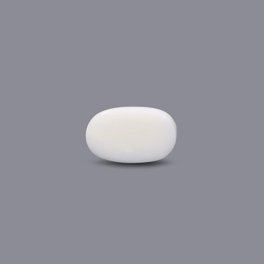 White Coral - 10.5 Carat