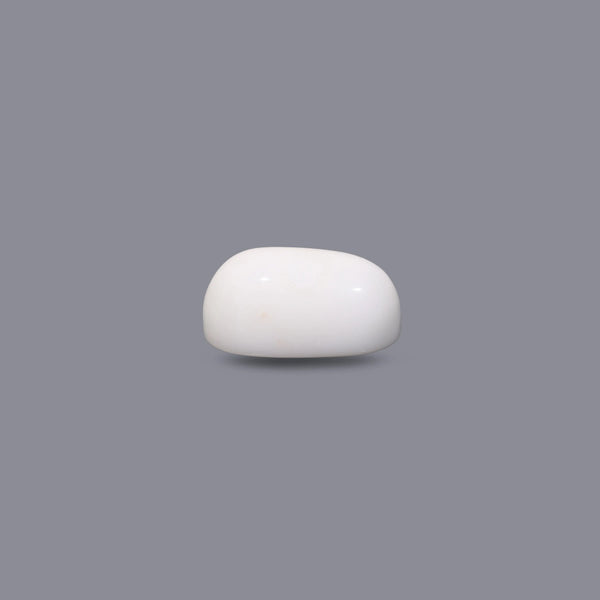 White Coral - 10.5 Carat