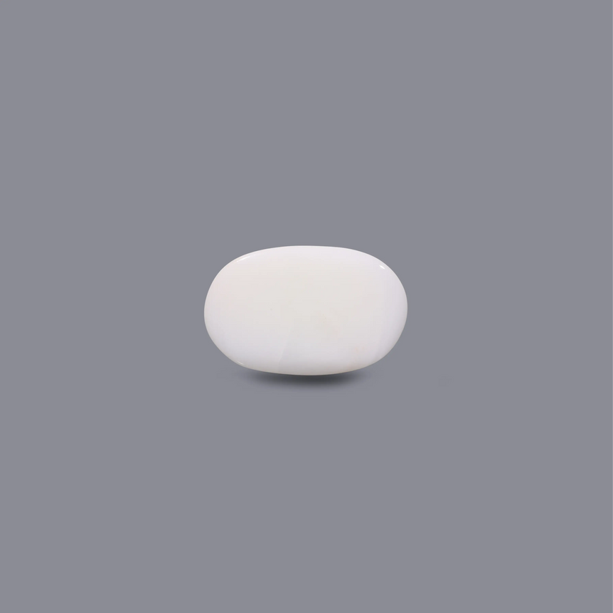 White Coral - 8.7 Carat