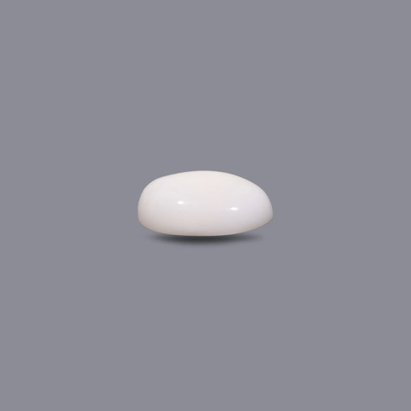 White Coral - 8.2 Carat
