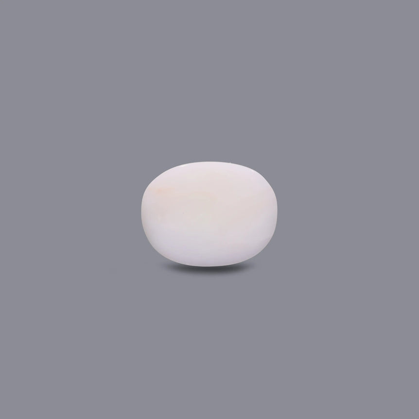 White Coral - 7.95 Carat