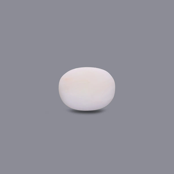 White Coral - 7.95 Carat