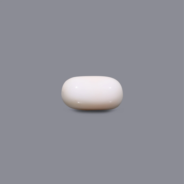 White Coral - 10.35 Carat - Pramogh
