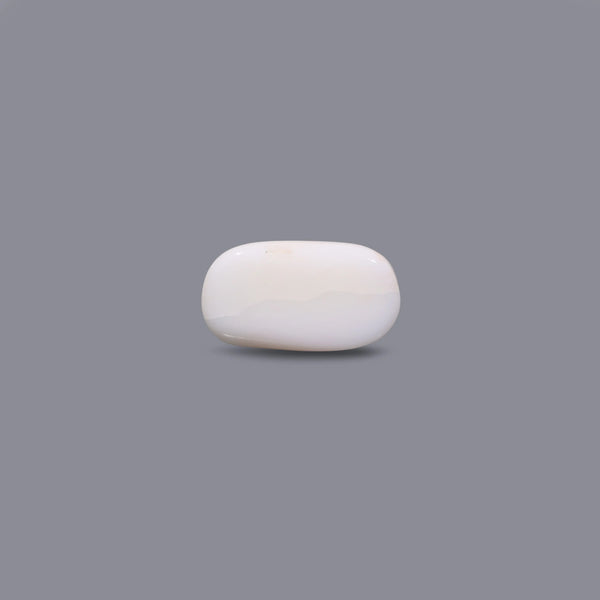 White Coral - 10.35 Carat