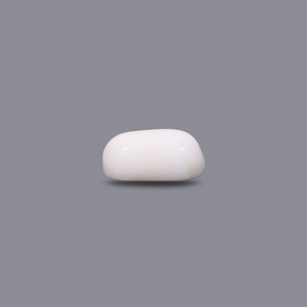 White Coral - 10.35 Carat