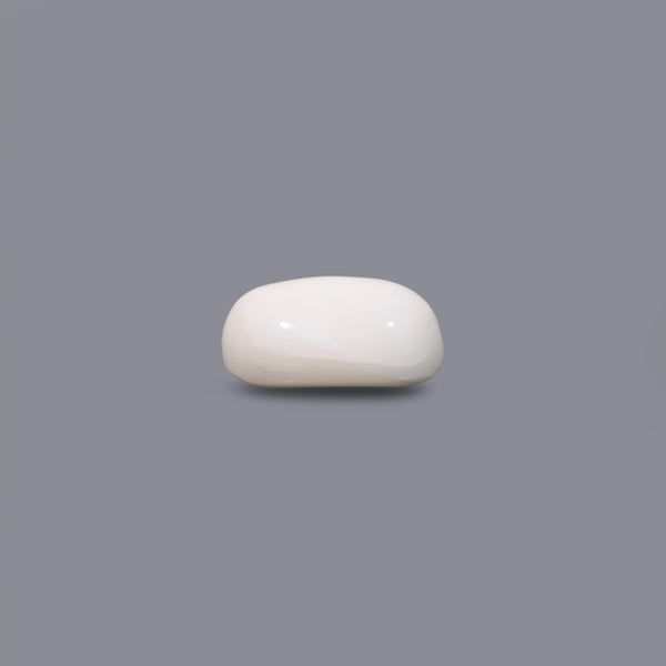 White Coral - 8.35 Carat