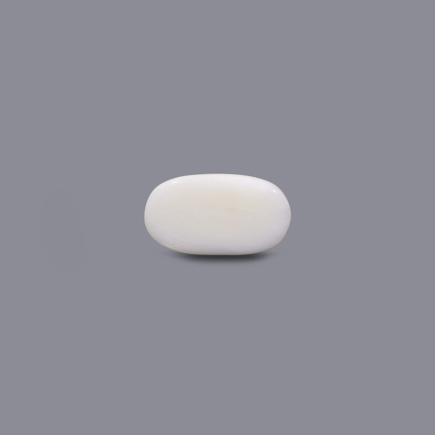 White Coral - 9.9 Carat