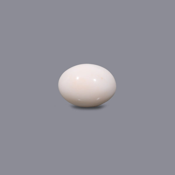 White Coral - 11.85 Carat - Pramogh