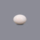 White Coral - 11.85 Carat - Pramogh