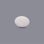 White Coral - 11.85 Carat