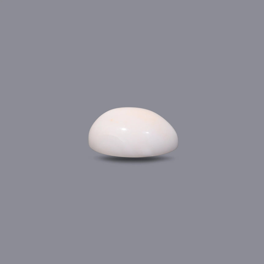 White Coral - 11.85 Carat