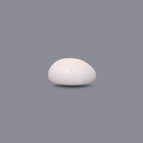 White Coral - 11.85 Carat